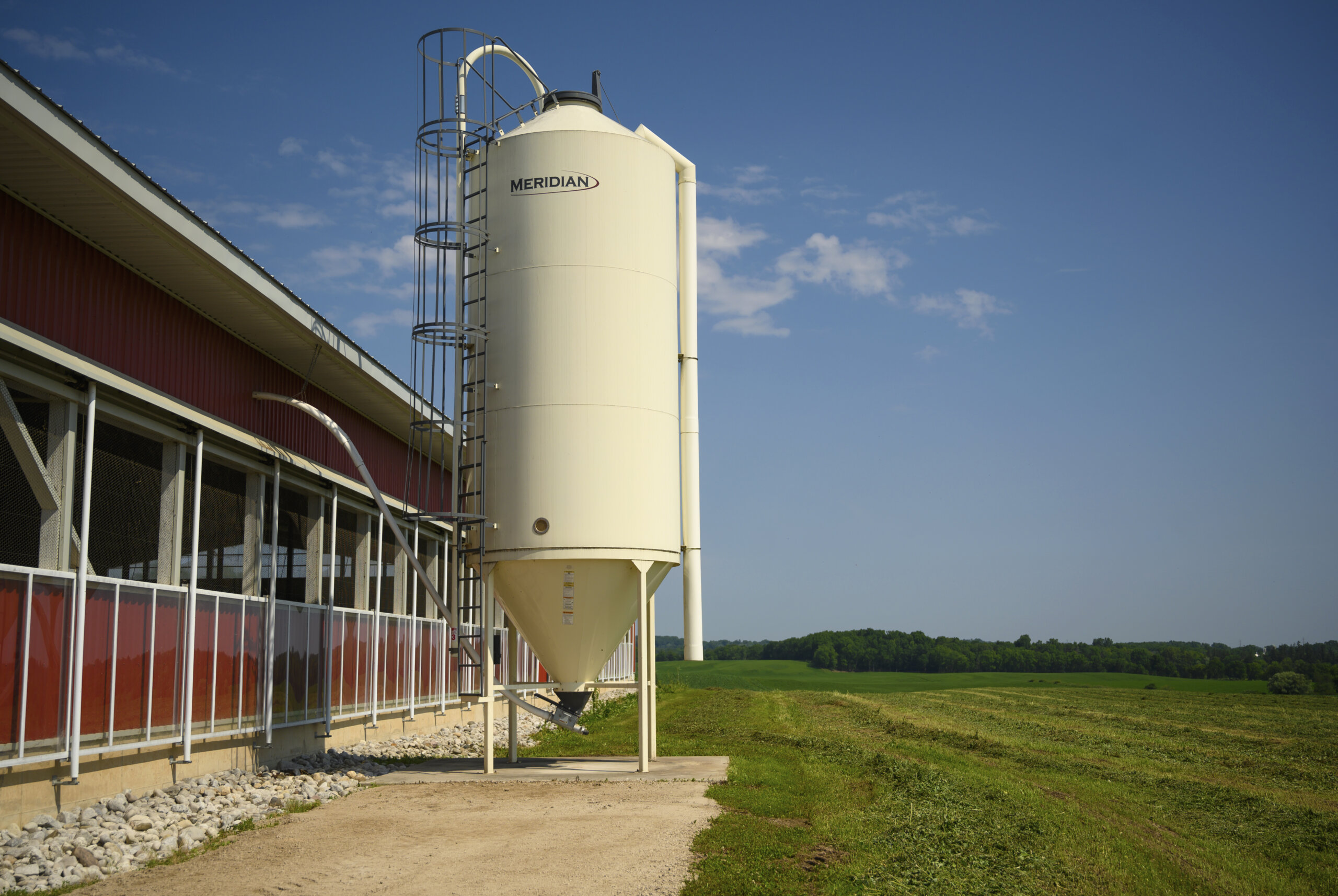 an ivory coloured hopper bottom smoothwall feed bin with a ladder on it next to a red adiry barn surrounded by green fields